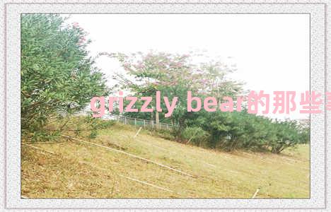 grizzly bear的那些事